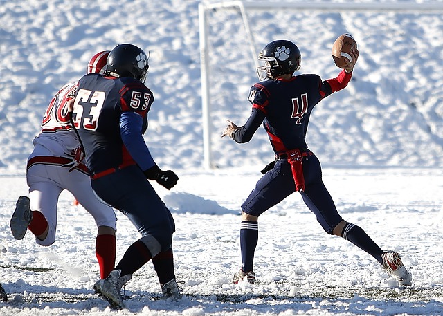 马尔穆什 马尔穆什