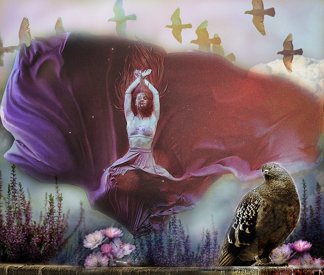 快船队的一 快船队的一