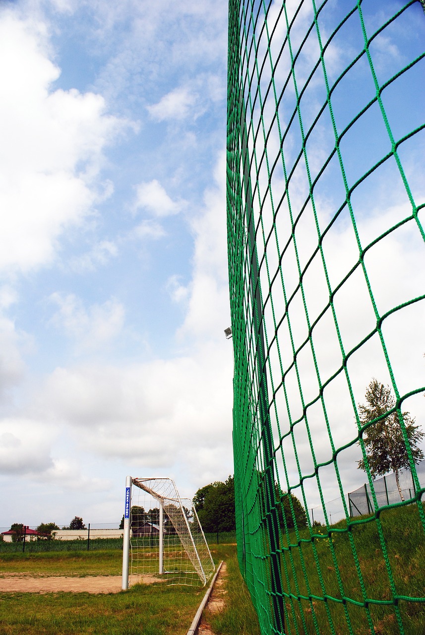 更是他们在 更是他们在