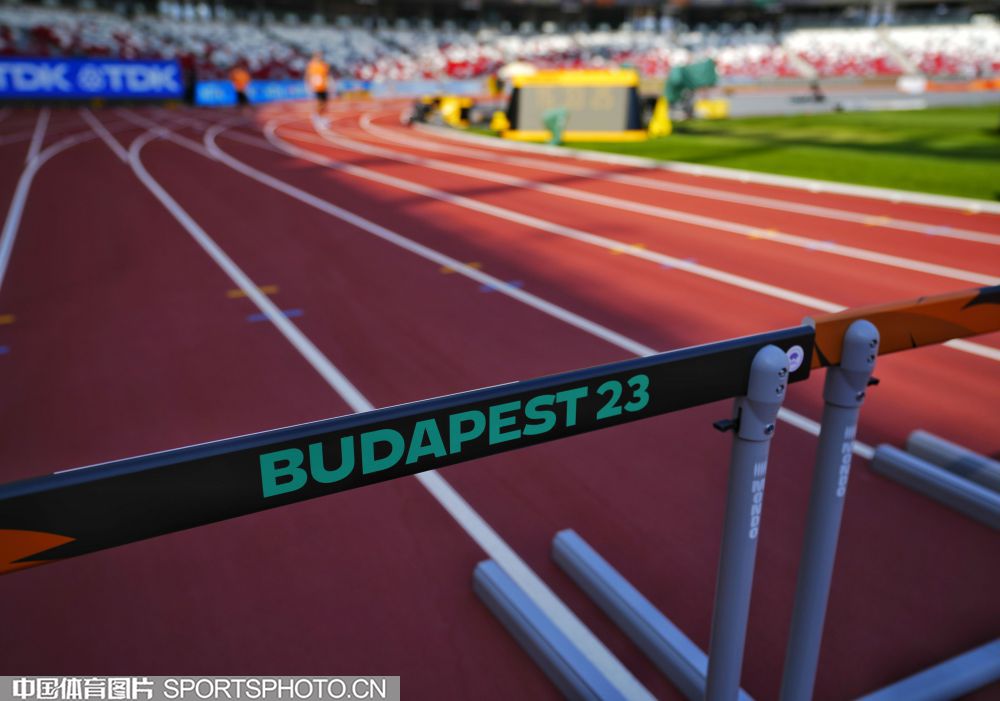 球迷与分析 球迷与分析