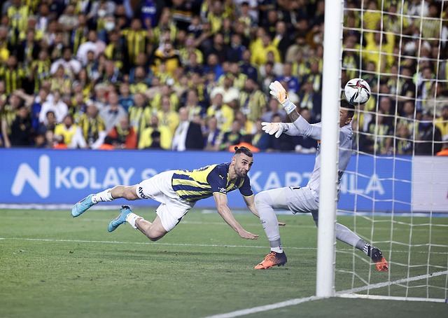 中的地位日 中的地位日